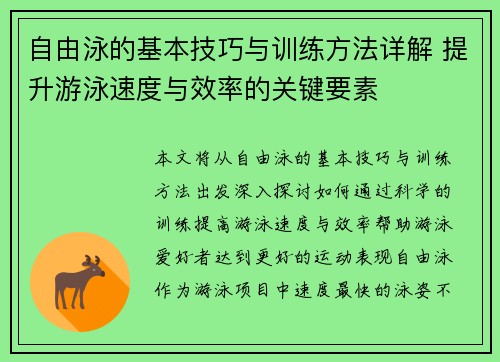 自由泳的基本技巧与训练方法详解 提升游泳速度与效率的关键要素